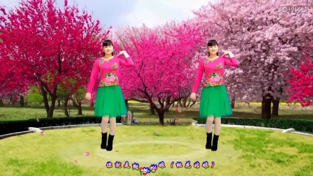 南之新女女广场舞《情暖一生》原创舞蹈含分解教学创意视频高清完整正版视频