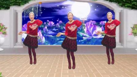 蓝天云广场舞简单32步《迪斯科》舞蹈含分解教学