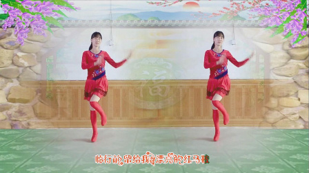 2017年最新广场舞《需要你陪》十六步·简单易学·编舞杨丽萍