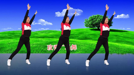 玫香广场舞励志歌曲广场舞《水手》80年代老歌郑智化演唱