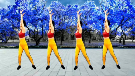 团队广场舞《草原的月光》动作优美大方特别适合健身