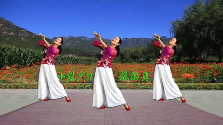 经典红歌藏族舞《毛主席的光辉》简单欢快祝福伟大祖国繁荣昌盛