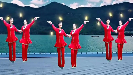 武丽萍广场舞《一首想家的歌》32步在家跳美美哒强身健体