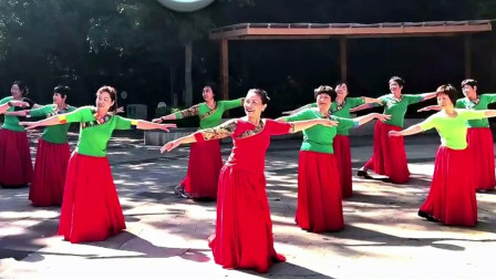 泉水叮咚广场舞《江南情》双人舞中四表演教学