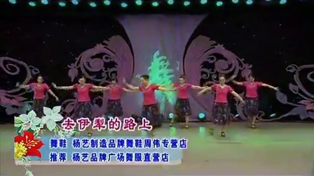 紫蝶踏歌广场舞《美丽中国年》糖豆网广场舞视频大全