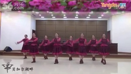 紫蝶踏歌广场舞《藏族姑娘》糖豆网广场舞视频大全