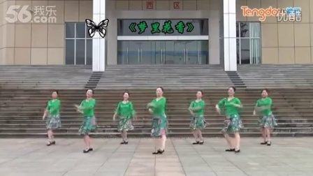 紫蝶踏歌广场舞《花儿的美丽》糖豆网广场舞视频大全