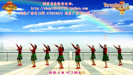 杨丽萍广场舞《喜庆临门》（拜年舞）糖豆广场舞视频大全