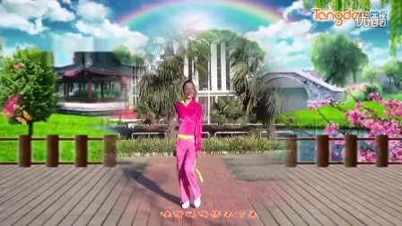迪斯科广场舞_江南style_糖豆网广场舞视频