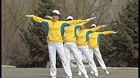 齐齐哈尔市快乐舞步有氧健身操神鹤起飞 分解教学 视频下载