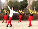 楠楠广场舞今夜舞起来含背面分解视频 广场舞教学
