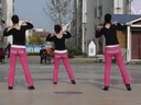 紫竹广场舞 最炫民族风（背面示范）