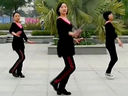 广场舞教学-广场舞我要去西藏