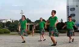 丰城快乐广场舞 草原一枝花舞蹈教程