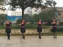 中老年广场舞教学视频：高原蓝(星力)