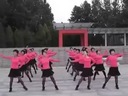 中老年广场舞教学视频：高原蓝（20人）