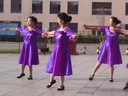 简单的中老年广场舞 荷塘月色 高清视频