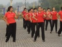 中老年广场舞 最炫民族风