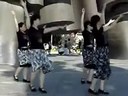 威海金海滩广场舞最炫民族风