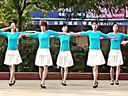 广场舞《最炫民族风》16步健身舞