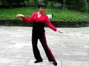 中老年广场舞伤不起32步视频