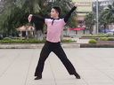 博白廖弟广场舞中国范儿(正面)舞蹈教学