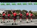 茉莉广场舞中国范儿 附口令分解 教学视频