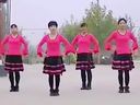  叶子广场舞 中国美（高清在线）