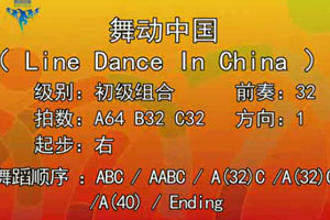 广场舞排舞2014 舞动中国 正面演示及背面口令分解动作教学
