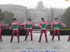 347动动广场舞 健身舞 大吉大利中国年 含动动教学