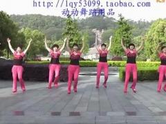 动动广场舞舞动中国 正反面口令分解动作教学 2014全国推广排舞