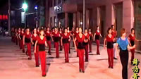 迪斯科广场舞 林妹妹爱上贾宝玉 莱州舞动青春舞蹈队 21步