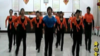 迪斯科广场舞 江南style 28步 莱州舞动青春舞蹈队