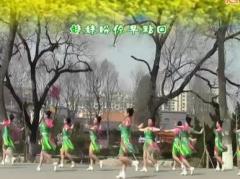 刘荣广场舞《油菜花之恋》付正反面教学和背面演示