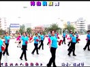 博白廖弟广场舞民族舞-《东北二人转转歌》（正面）