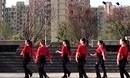 茉莉广场舞《情人桥》正反面口令教学慢动作分解背面演示第一