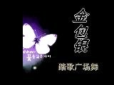 紫蝶踏歌广场舞42-《金包银》