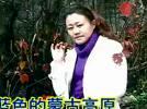沅陵紫玫瑰 广场舞 蓝色的蒙古高原