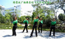 张林冰广场舞中国好老婆 原创健身舞 背面口令分解动作教学